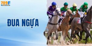 Đua Ngựa - Khám Phá Loại Hình Cá Cược Hấp Dẫn Của Quý Tộc