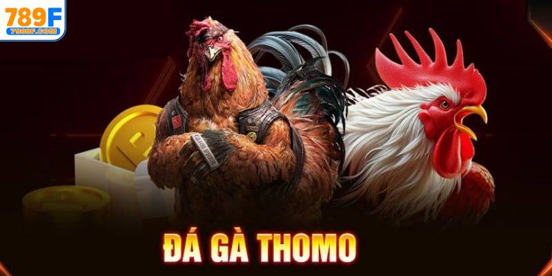 Giới thiệu khái quát về đá gà Thomo trực tiếp