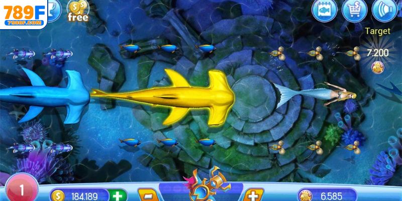 Khái niệm bắn cá ăn xu