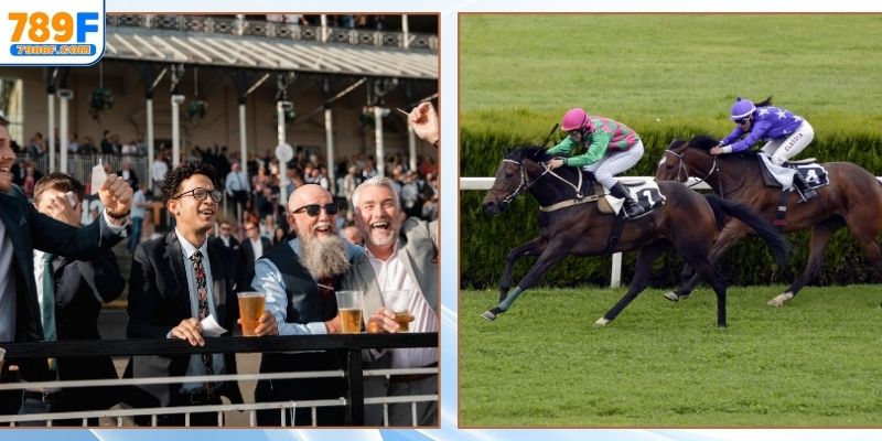 Mẹo hay bỏ túi khi trải nghiệm trực tuyến