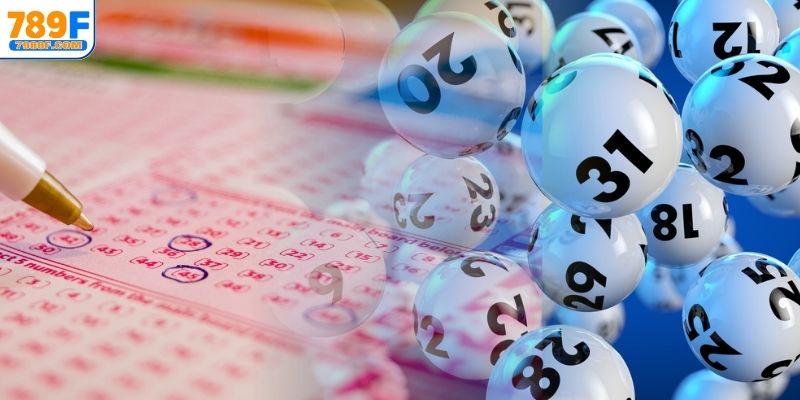 Phân tích đỉnh gan của từng con lô MB