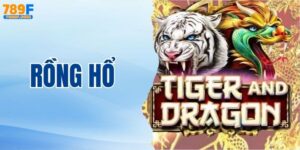 Rồng Hổ - Khám Phá Luật Chơi Để Thắng Lớn Trên Casino 789F