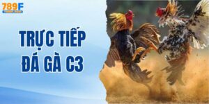 Kinh Nghiệm Cá Cược Khi Theo Dõi Trực Tiếp Đá Gà C3