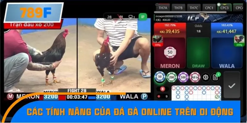 Các tính năng nổi bật của đá gà online trên di động
