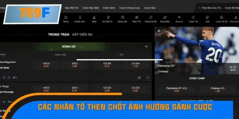 Các yếu tố thúc đẩy cá cược thể thao phát triển