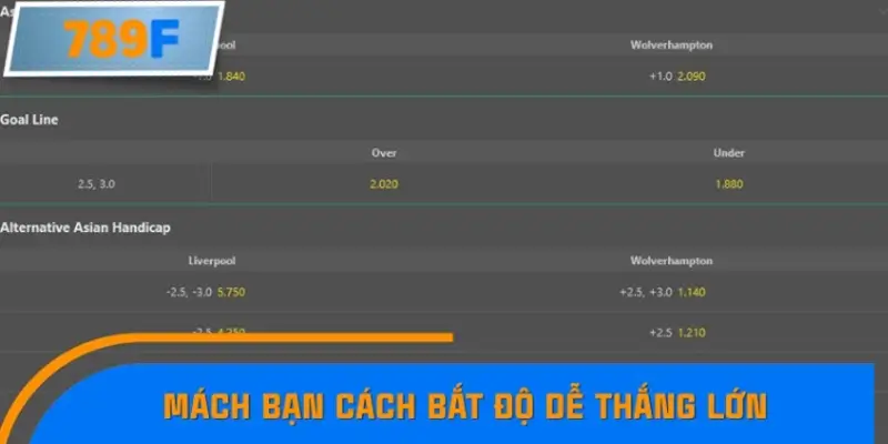 Cách áp dụng bắt độ thông minh trong thực tế