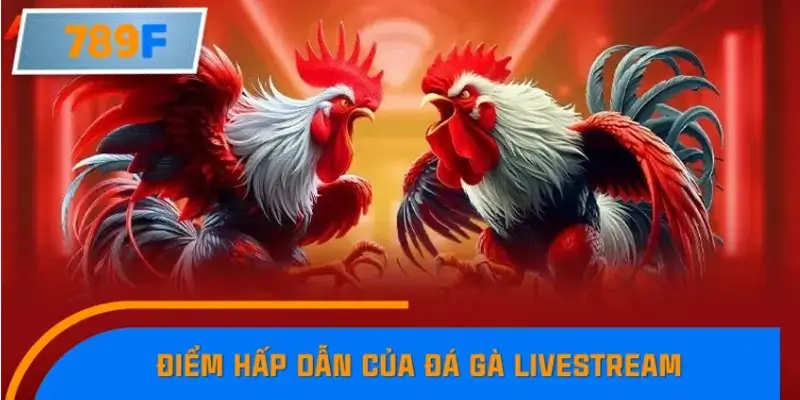 Điểm hấp dẫn của đá gà livestream