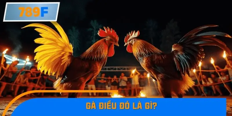 Gà Điều Đỏ Là Gì