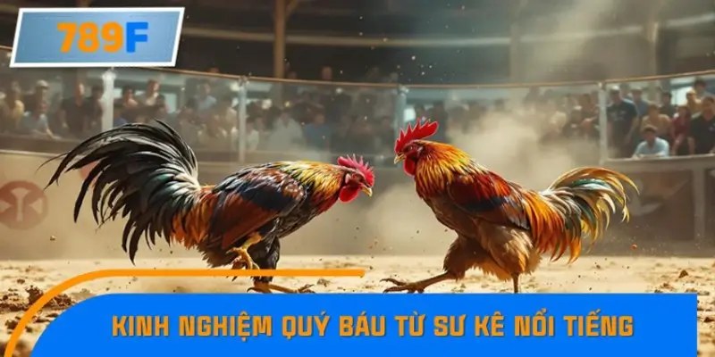 Kinh nghiệm quý báu từ sư kê nổi tiếng – Bí quyết và câu chuyện thực tế