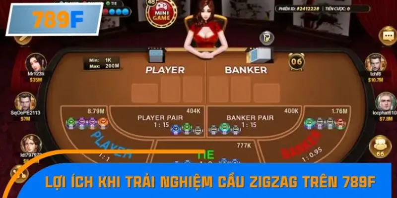 Lợi ích khi trải nghiệm cầu zigzag trên 789F