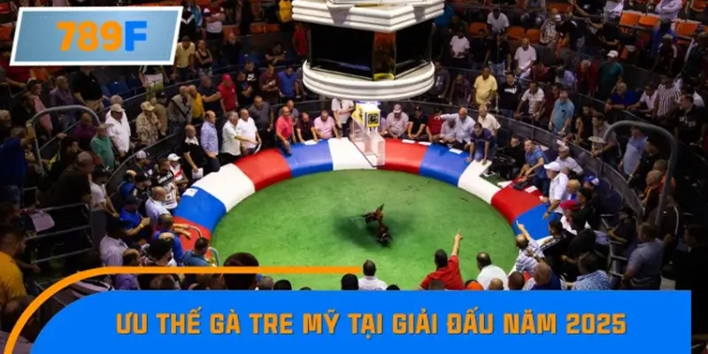 Lợi thế của gà tre Mỹ tại giải đấu 2025