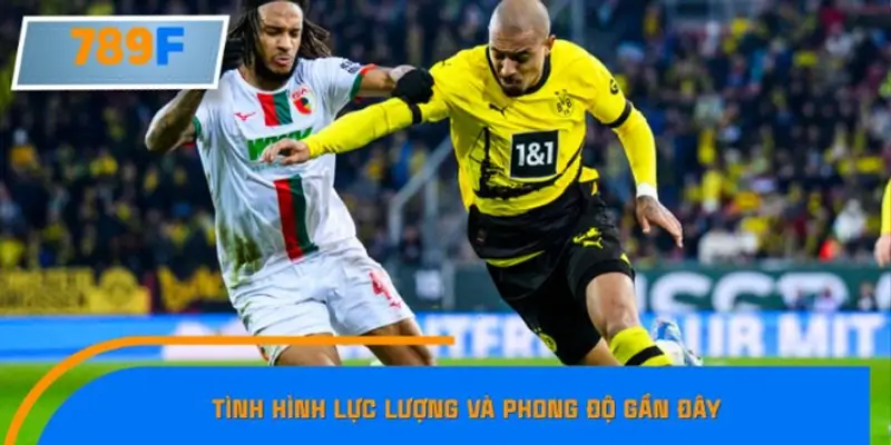 Tình hình lực lượng