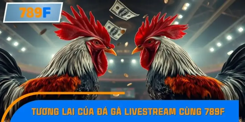 Tương lai của đá gà livestream cùng 789F