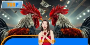 Xu Hướng Gà Điều Đỏ Trong Giới Sư Kê