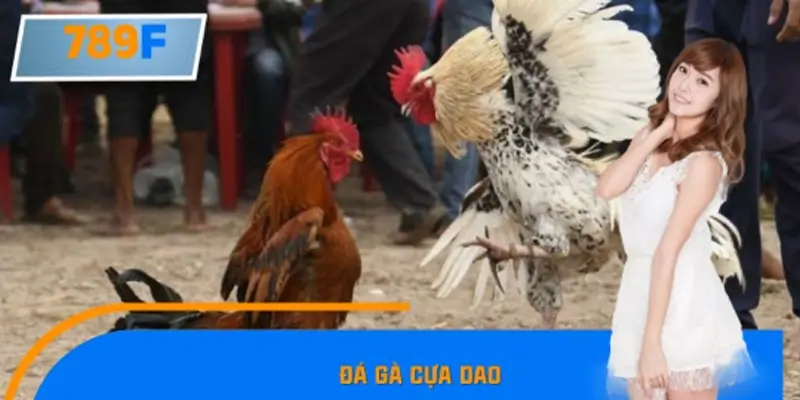 Đá Gà Cựa Dao – Luật Chơi Và Cách Bắt Kèo Tại 789F