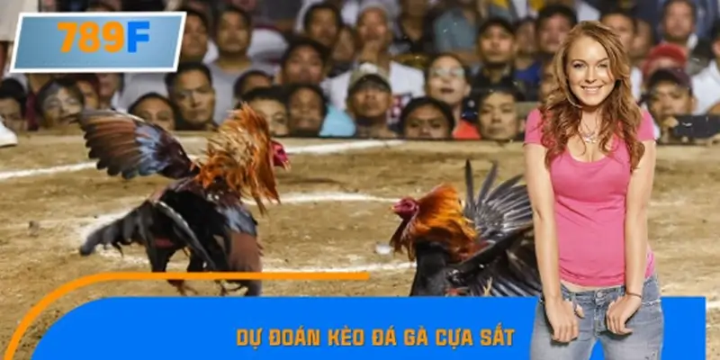 Dự Đoán Kèo Đá Gà Cựa Sắt Tại 789F