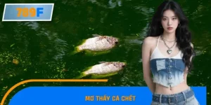 Mơ Thấy Cá Chết Điềm Gì? Nên Đánh Số Mấy Giải Mã Cùng 789F