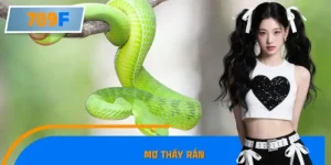 Nằm Mơ Thấy Rắn - Điềm Báo Tài Lộc Hay Tai Họa Tại 789F