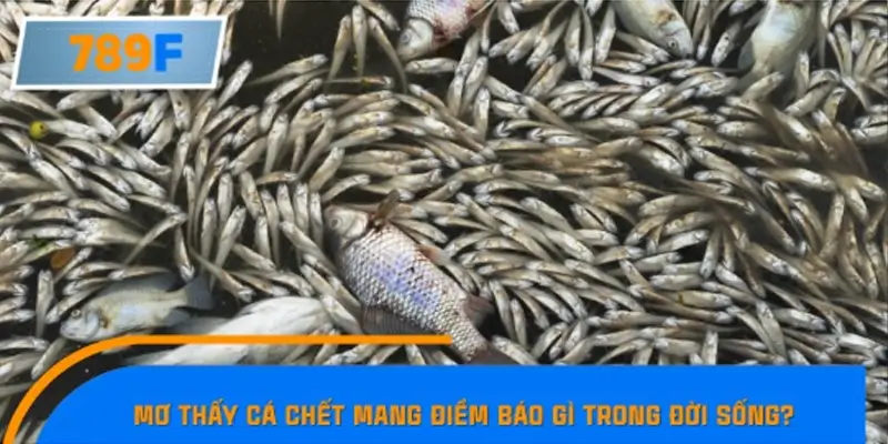 Ngủ mơ thấy cá chết mang điềm báo gì trong đời sống?