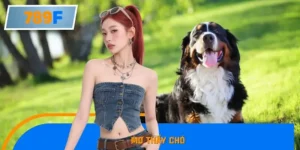 Ngủ Mơ Thấy Chó Lành Hay Dữ? Nên Đánh Số Gì? 789F Giải Đáp