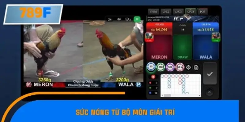 Sức hấp dẫn đặc biệt của bộ môn đá gà tre