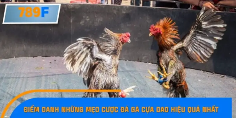 Theo dõi nhịp ra đòn để đo sức mạnh thực