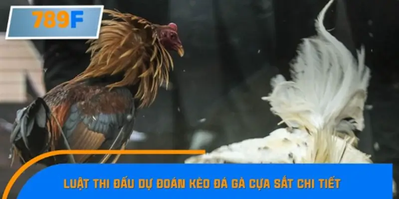 Thời gian thi đấu cùng với cách tính kết quả Thời gian thi đấu cùng với cách tính kết quả