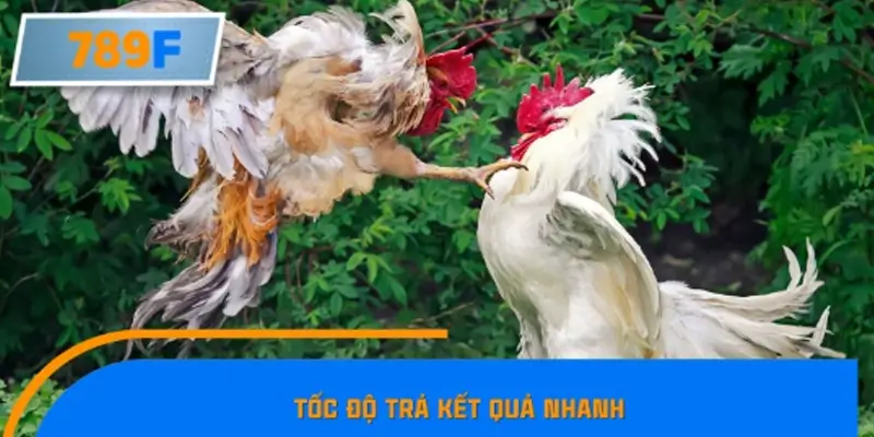 Tốc độ trả kết quả nhanh