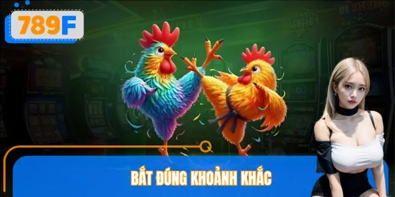 Bắt đúng khoảnh khắc – Chìa khóa vào kèo đá gà chuẩn xác