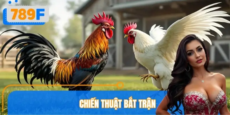 Chiến thuật bắt trận theo diễn biến thực tế