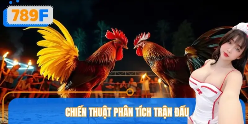 Chiến thuật phân tích trận đấu theo góc nhìn chuyên gia