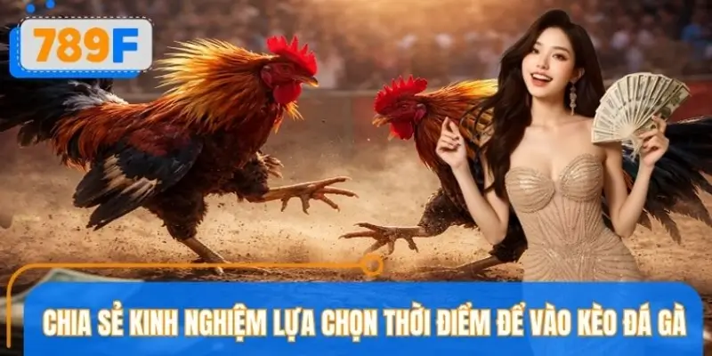 Kinh nghiệm chọn đúng thời điểm vào kèo đá gà trực tuyến
