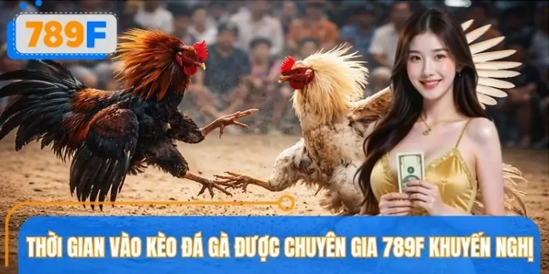 Những thời điểm vàng để vào kèo đá gà theo chuyên gia 789F