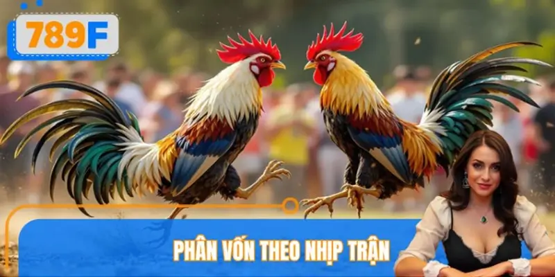 Phân bổ vốn theo nhịp trận và mức độ tự tin