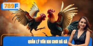 Quản Lý Vốn Khi Chơi Đá Gà Tại 789F: Kỷ Luật Tạo Nên Lợi Thế