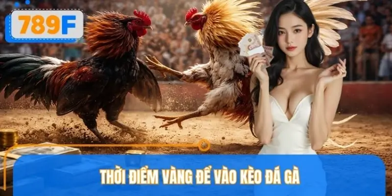 Thời Điểm Vàng Để Vào Kèo Đá Gà 789F Giúp Tỷ Lệ Thắng Cao