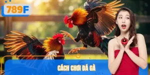 Top 5 Cách Chơi Đá Gà Đỉnh Cao Từ Các Chuyên Gia 789F