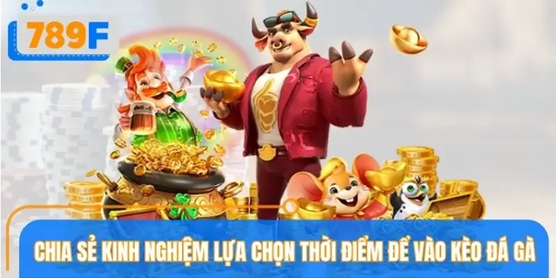 Lưu ý quan trọng khi áp dụng chiến thuật tăng giảm cược tại 789F